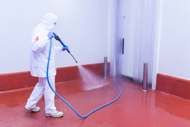 Spring Cleaning in Attica, MI